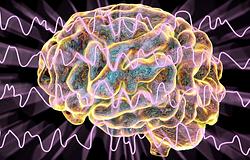 Agyunk éjjel takarít: élőben látták, hogyan áramlanak a folyadékok alvás közben