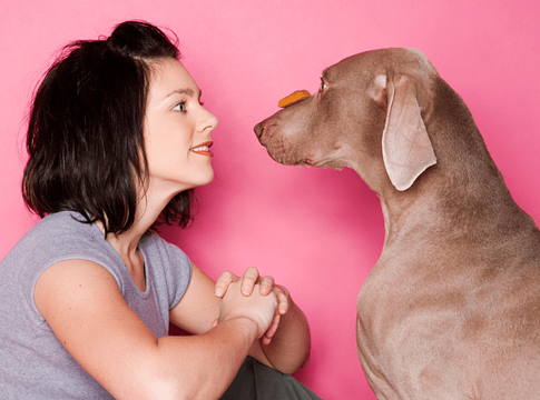 Lehetnek neurodivergensek a háziállataink? Új kutatások szerint igen