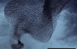 Korolova és a Switch Disco az érzelmek felé nyit az Empty Skies-ban