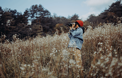 A madarászás és az agy: mit mutat a Science I szerint hivatkozott kutatás