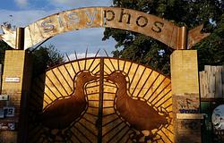 Éjszakai bolhapiac a berlini Sisyphos klubban