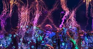 Symphony of Unity: A Tomorrowland új zenei dimenziója