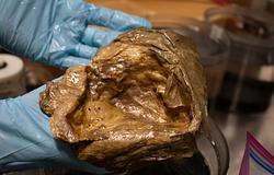 Aranygömb a tenger mélyén: nem tojás, hanem egy tengeri rózsa „levetett bőre”