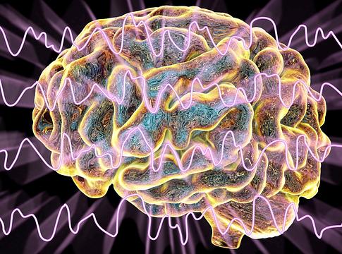 Agyunk éjjel takarít: élőben látták, hogyan áramlanak a folyadékok alvás közben