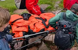 Hordágyon mentették le a Ben Nevisről a cannabis miatt rosszul lett labradort