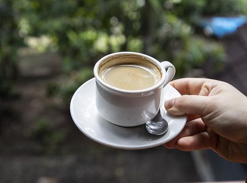 Kopi Luwak: tudósok megfejtették a világ legdrágább kávéjának titkát