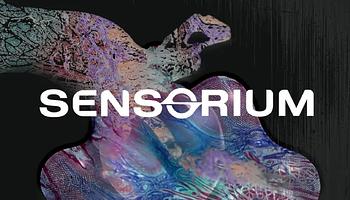 Sensorium: új techno klub nyílik Berlin-Friedrichshainben