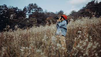 A madarászás és az agy: mit mutat a Science I szerint hivatkozott kutatás