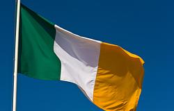 Alapjövedelem és alkotás: az ír zenészek többet komponáltak